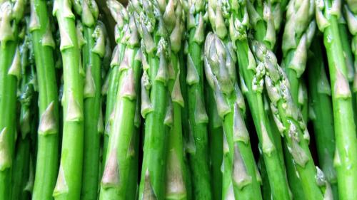 Asperge verte 