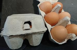 Boite de 6 œufs normands fermier