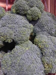 Brocoli 