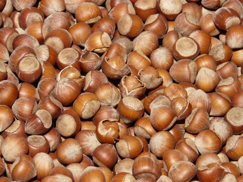 Noisette 