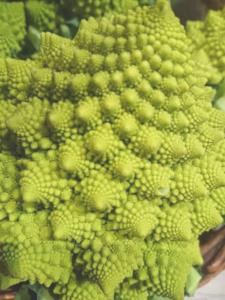 Chou romanesco 