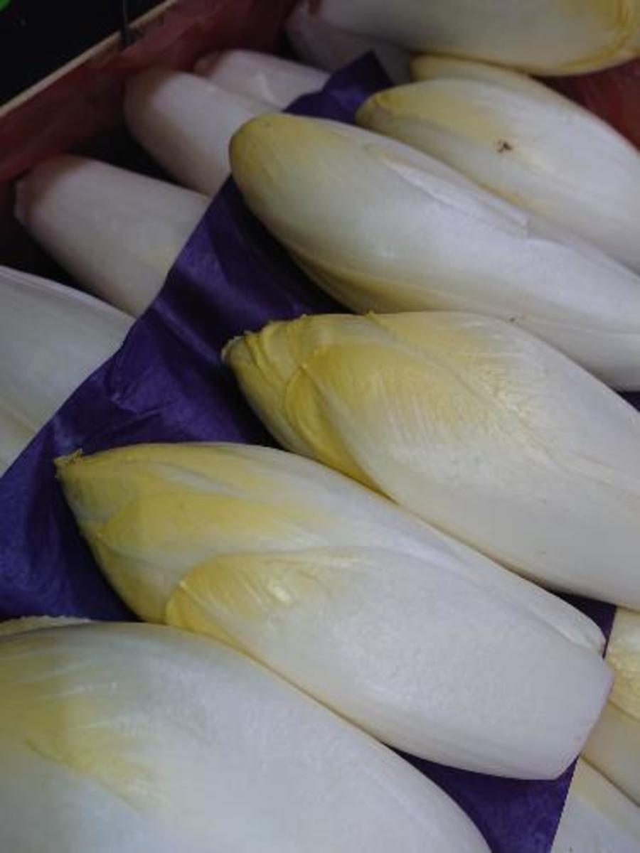 Endive 