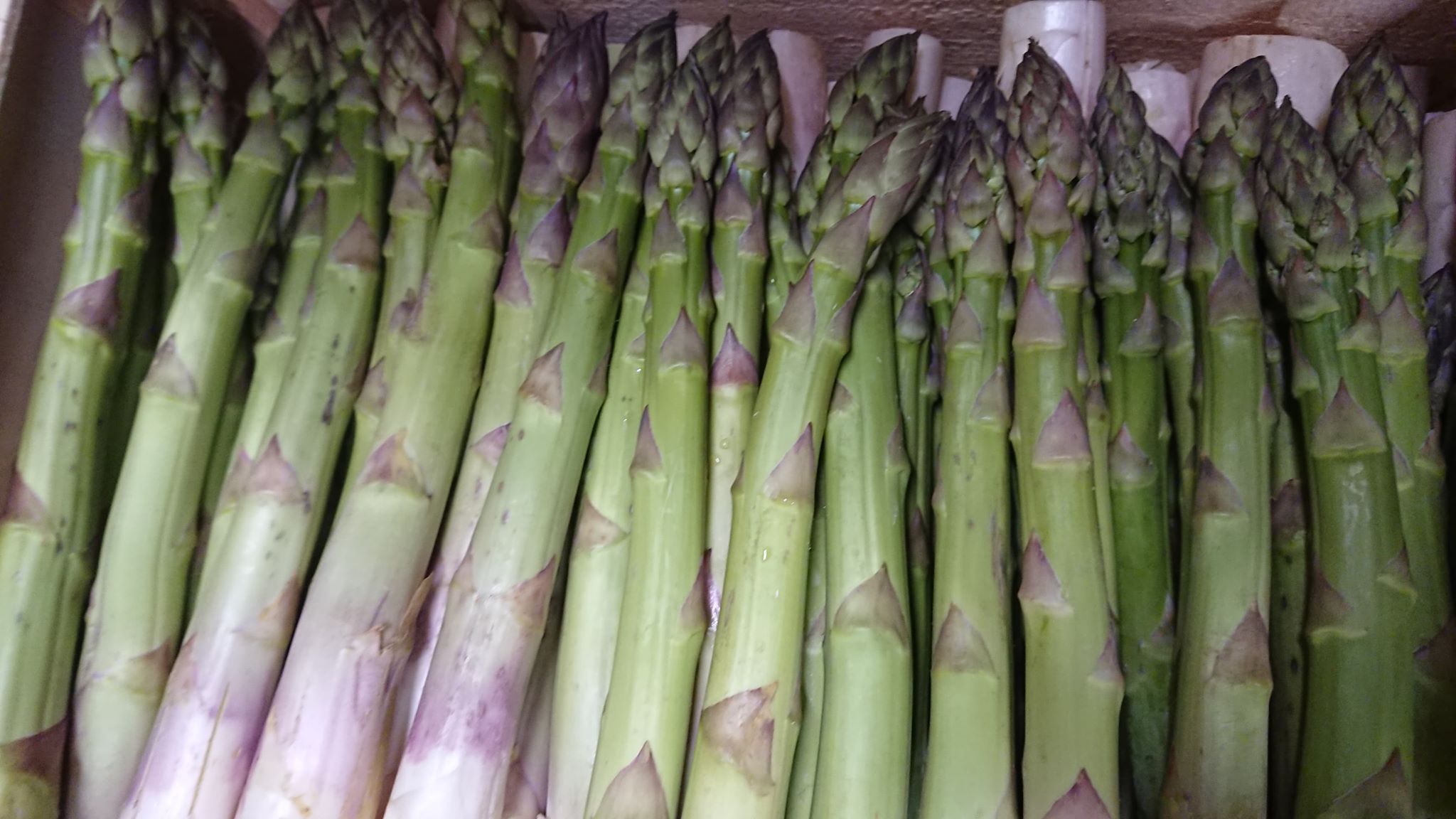 Asperge verte 