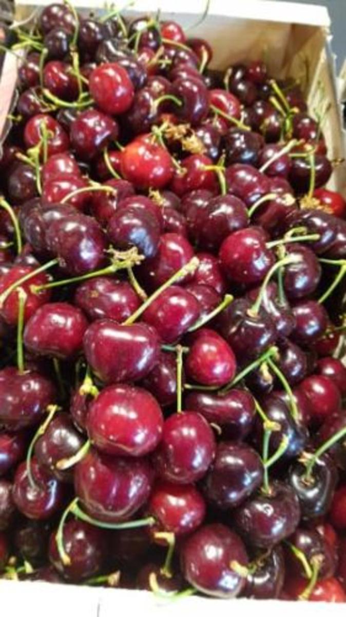 Cerise 