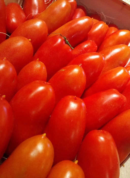 Tomate Roma 