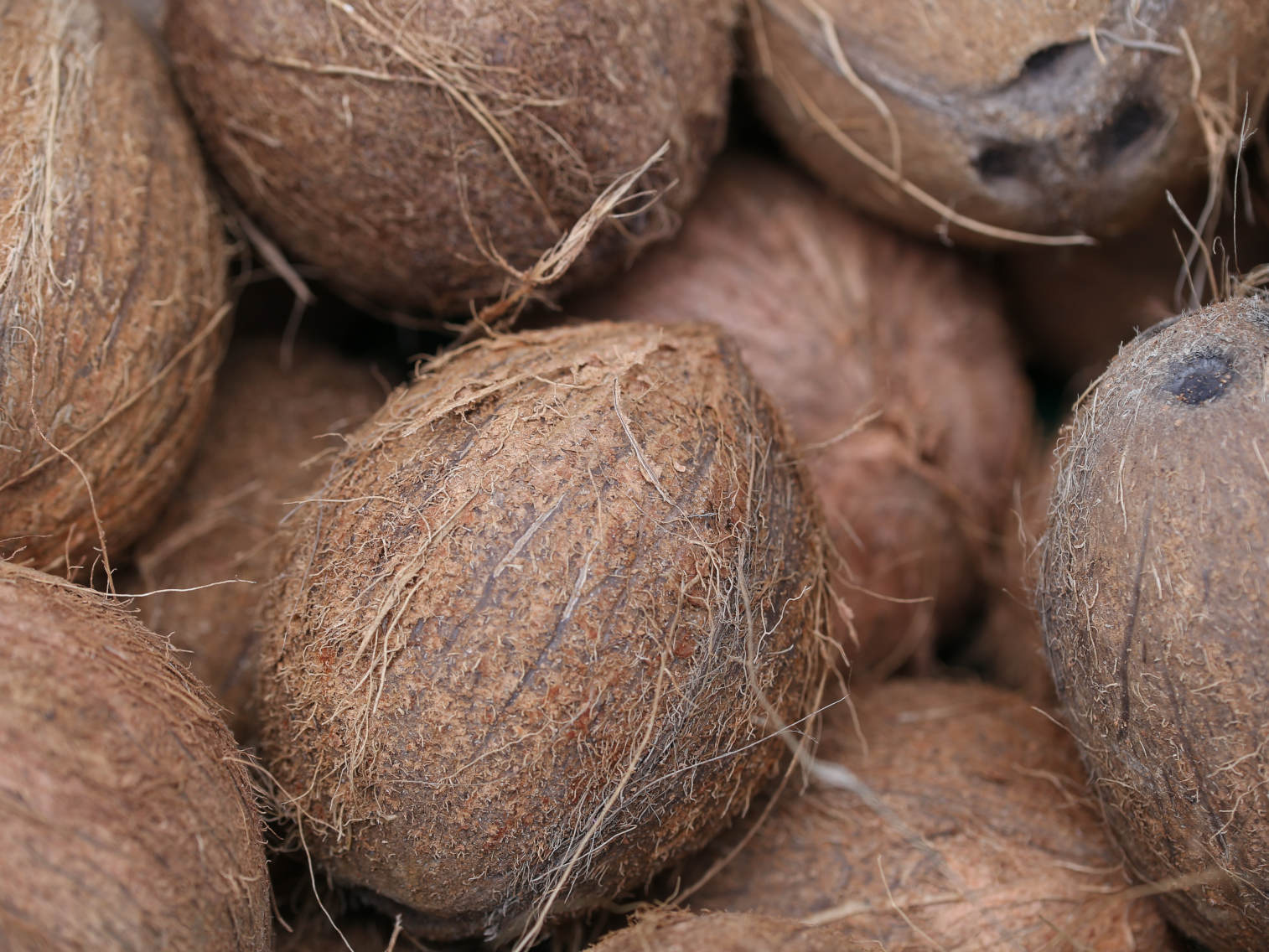 Noix de coco